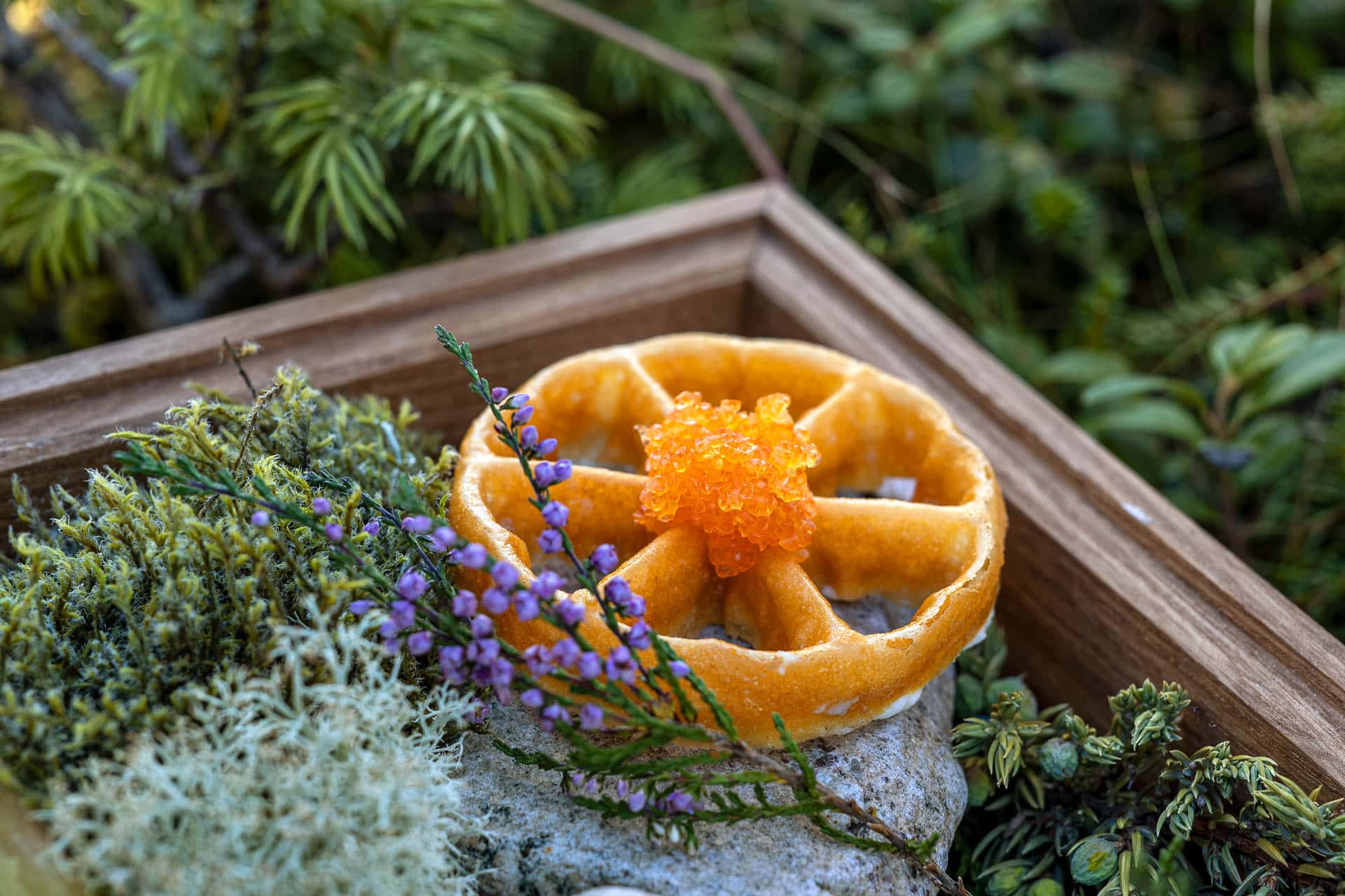 Homemade waffle with orange served outdoors in Lofoten