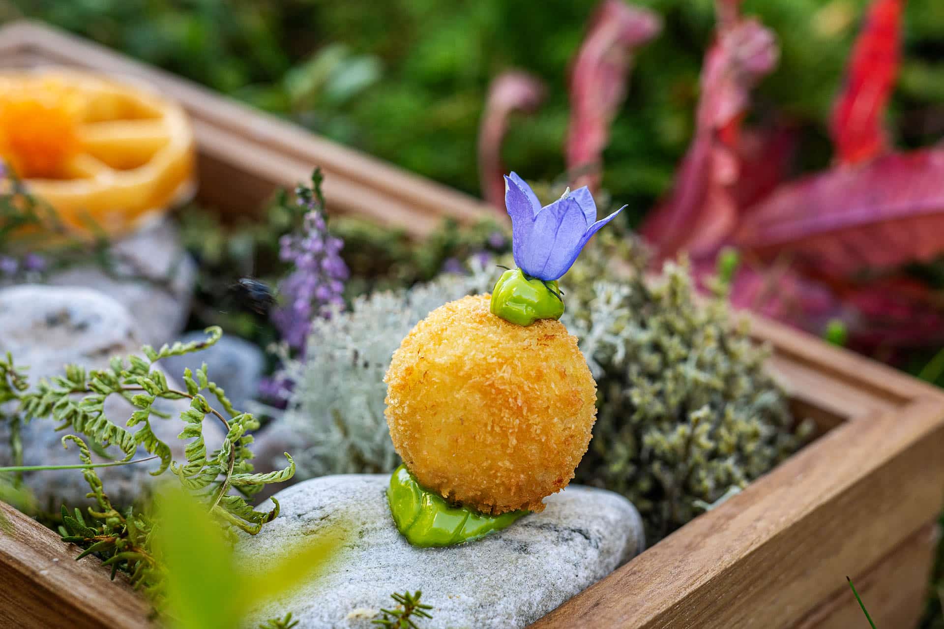 Elegant small dish presented with herbs and flowers in Lofoten